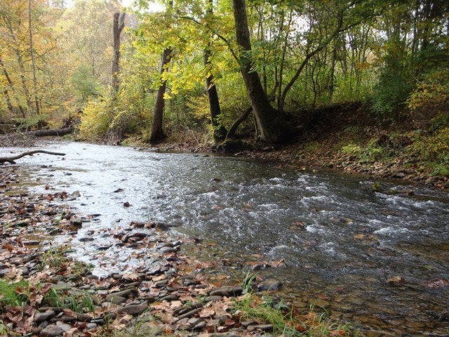 375 Big Red Road Ronceverte, WV 24970 - Photo 7 of 32 Second Creek
