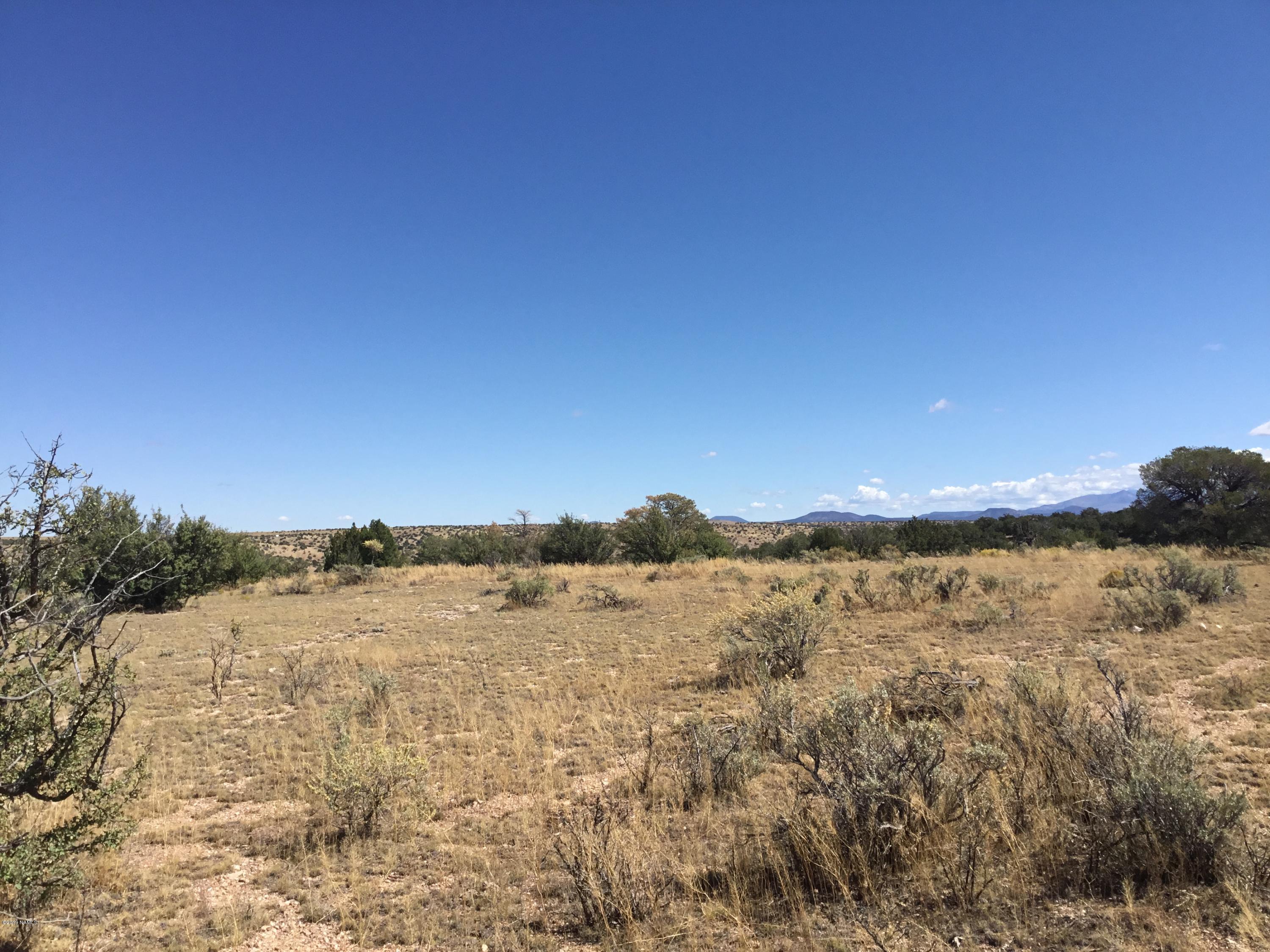 7647 Northstar Road Williams, AZ 86046 - Photo 3 of 10 F0CF4382-BC37-452F-AE26-473B844AFE58