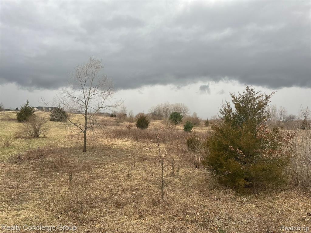 0 Dutcher Road Howell, MI 48843 - Photo 1 of 21