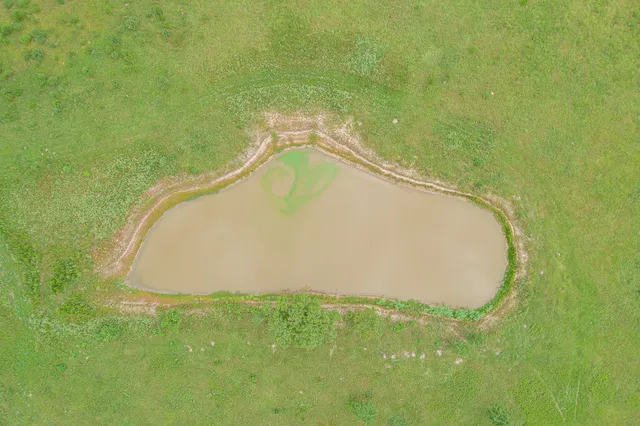 a big yard with lots of green space and fog