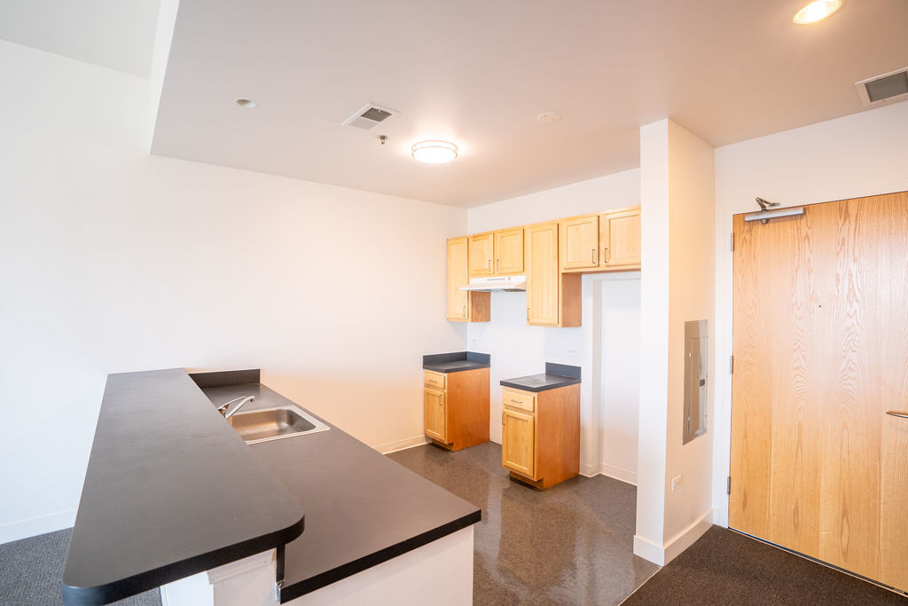 3622 South State Street, Unit 420 Chicago, IL 60609 - Photo 7 of 13