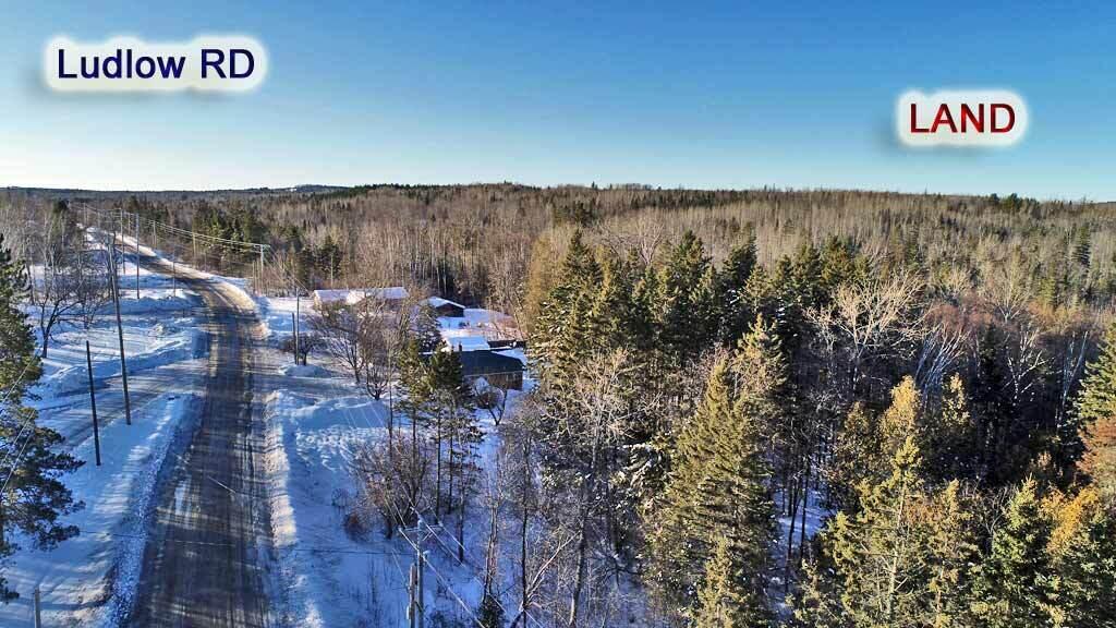 Lot 6 Ludlow Road Houlton, ME 04730 - Photo 10 of 28 ludlow-rd-maine-land-1