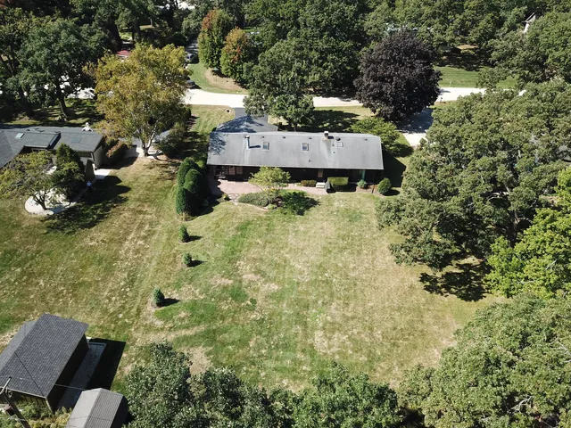 a view of a tree in a yard