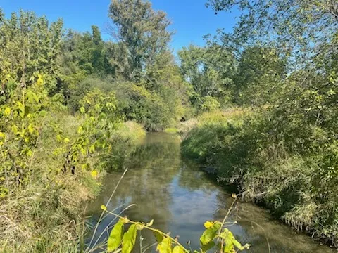 $569,000 | 8N465 Shady Lane, Elgin, IL 60124