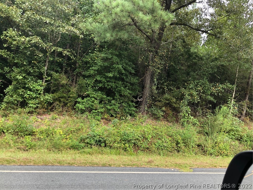 0 Bella Bridge Road Broadway, NC 27505 - Photo 4 of 6 Gallery Image 4