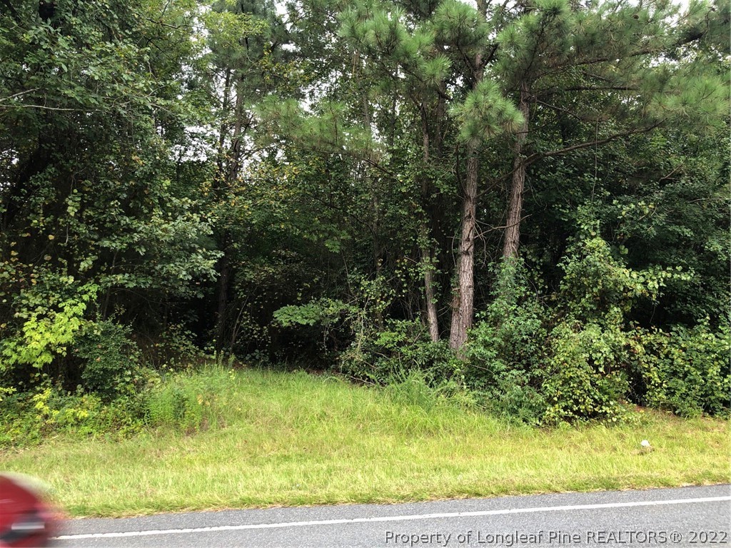 0 Bella Bridge Road Broadway, NC 27505 - Photo 5 of 6 Gallery Image 5