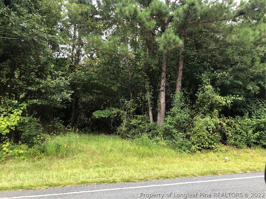 0 Bella Bridge Road Broadway, NC 27505 - Photo 6 of 6 Gallery Image 6