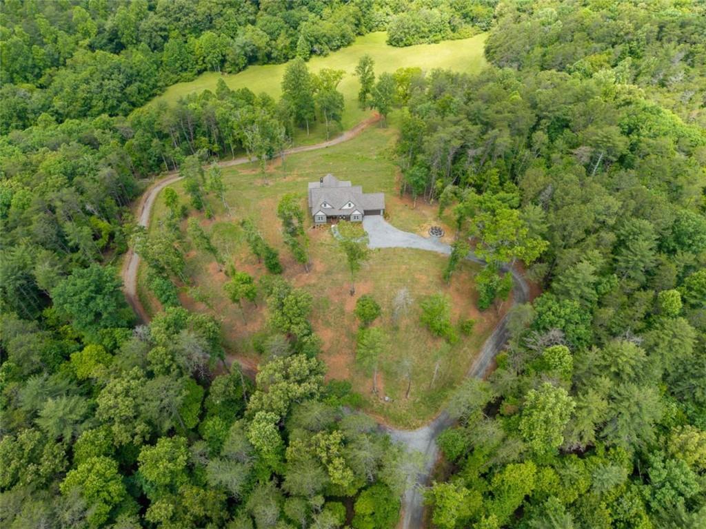 5664 Mobile Road Blue Ridge, GA 30513 - Photo 3 of 66