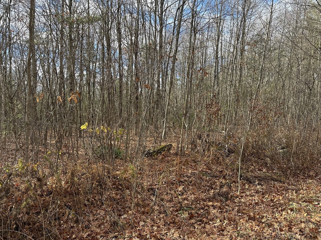 Lot 9 Jourdan Road Westfield, MA 01085 - Photo 1 of 2