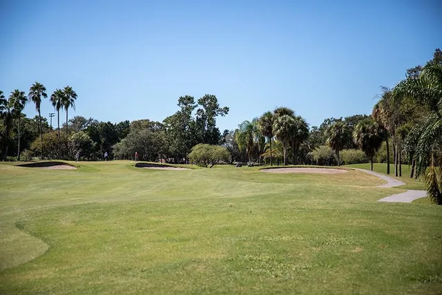 a view of a field with trees