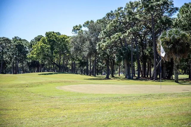 a view of a swimming pool and trees in the background