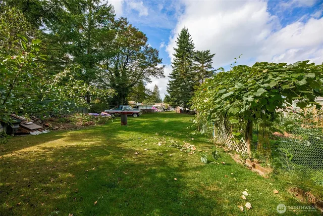 a garden with trees in the background