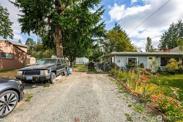 a view of a garden with plants and flowers