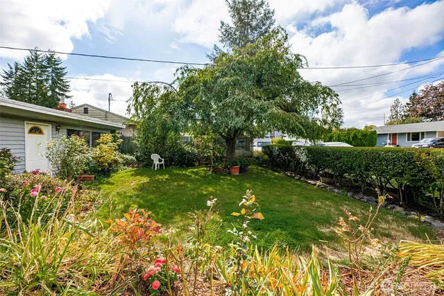a view of a backyard with table and chairs potted plants and a large tree