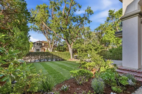a view of a yard with plants