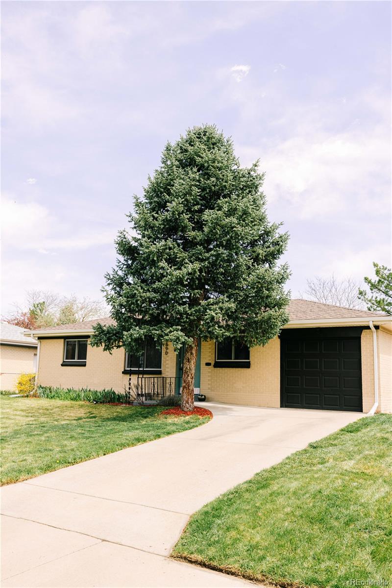 3890 Moore Street Wheat Ridge, CO 80033 - Photo 5 of 28 Gallery Image 5