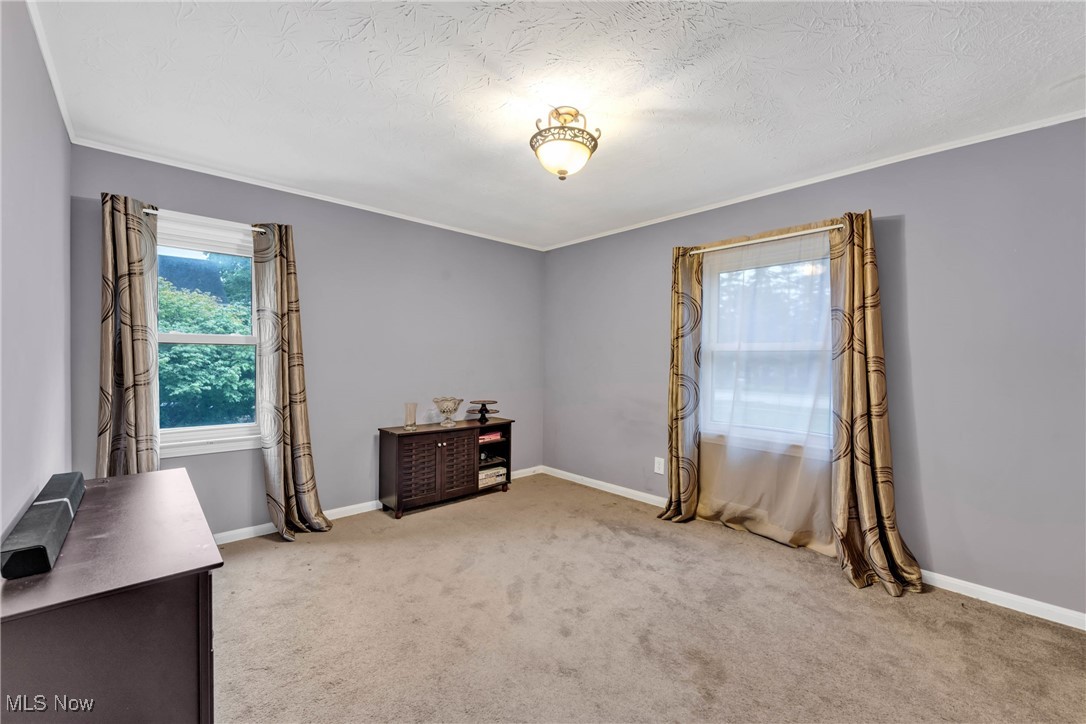 631 Trebisky Road Cleveland, OH 44143 - Photo 17 of 33 Carpeted office featuring ornamental molding and a textured ceiling