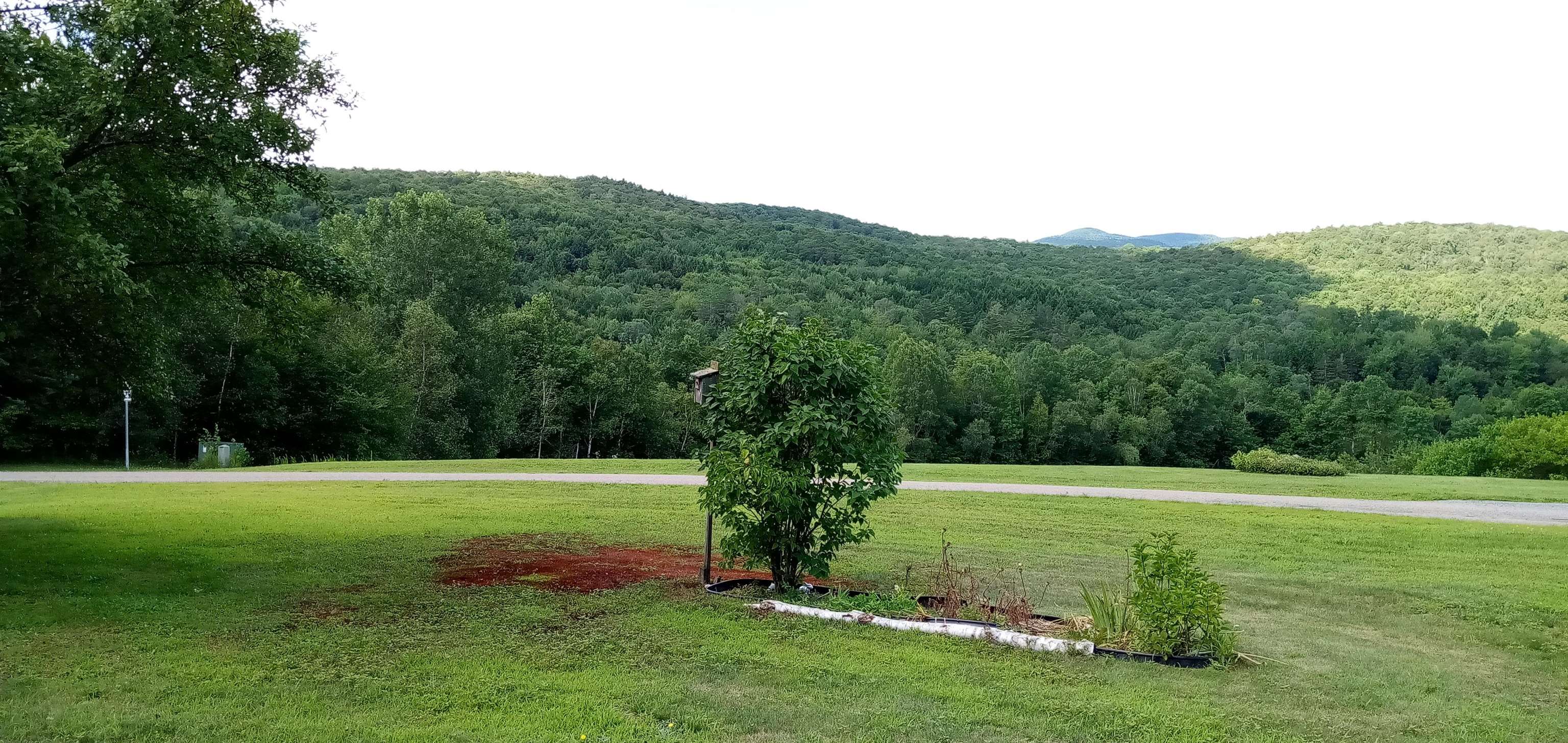 420 Wescom Road Johnson, VT 05656 - Photo 4 of 20