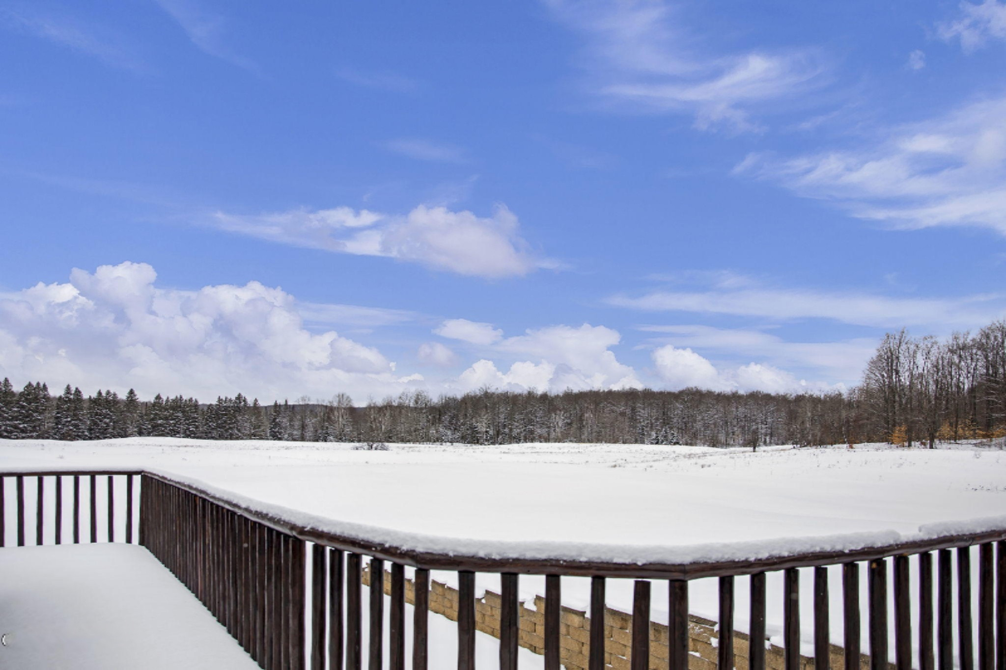 2445 North Mt Tom Road Mio, MI 48647 - Photo 56 of 75 52-web-or-mls-169A9845-r