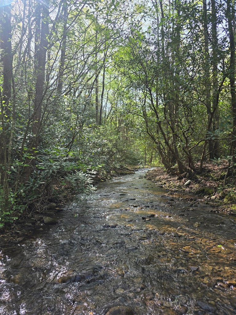 2839 Helton Creek Road Blairsville, GA 30512 - Photo 45 of 65