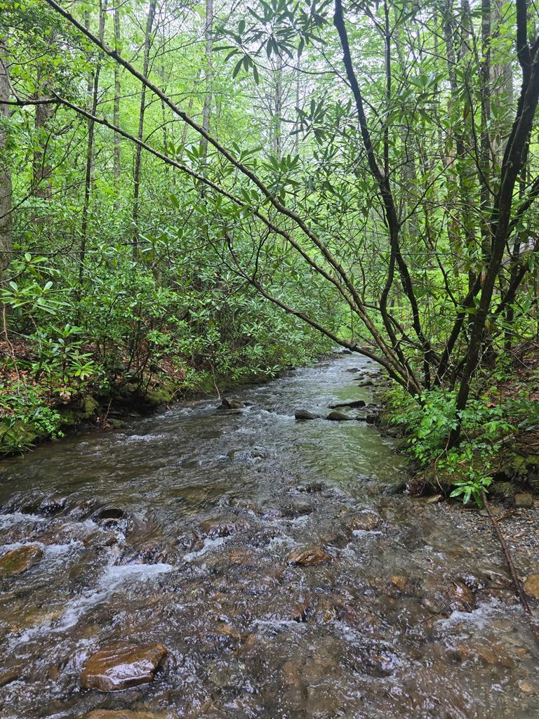 2839 Helton Creek Road Blairsville, GA 30512 - Photo 46 of 65