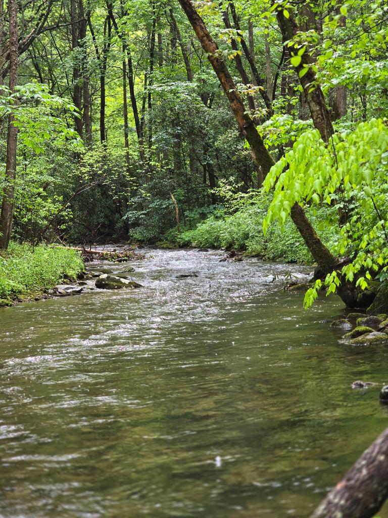 2839 Helton Creek Road Blairsville, GA 30512 - Photo 48 of 65