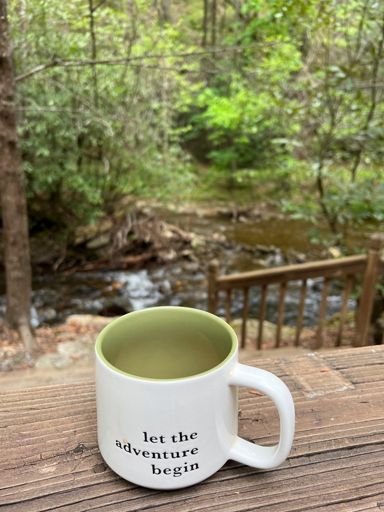 2839 Helton Creek Road Blairsville, GA 30512 - Photo 49 of 65