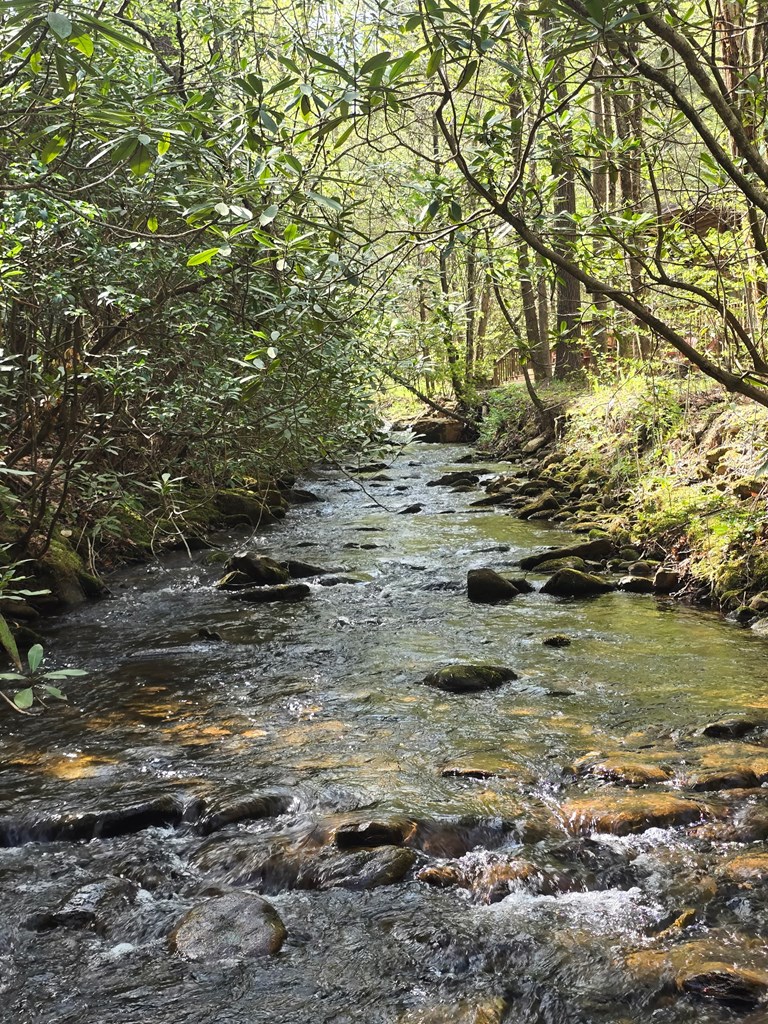 2839 Helton Creek Road Blairsville, GA 30512 - Photo 52 of 65
