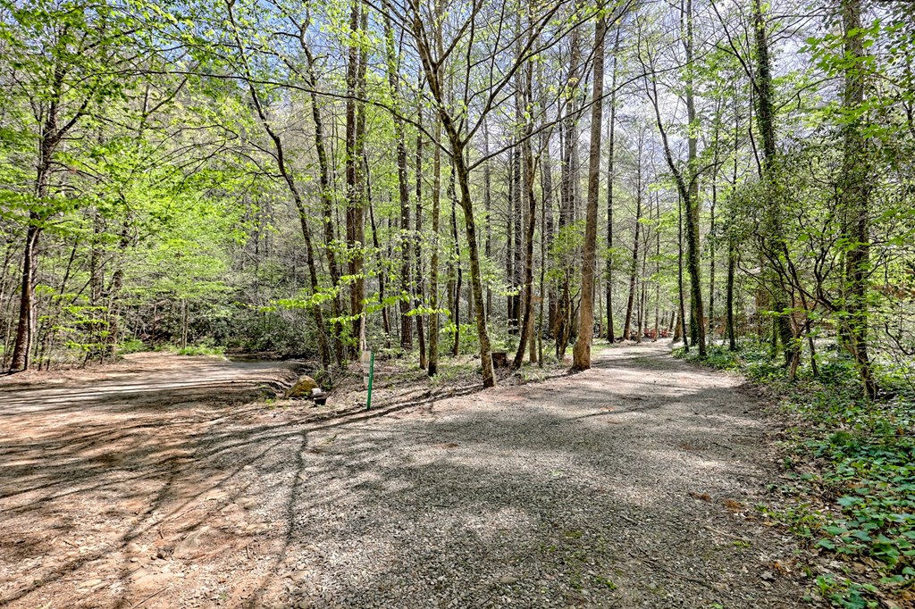 2839 Helton Creek Road Blairsville, GA 30512 - Photo 58 of 65