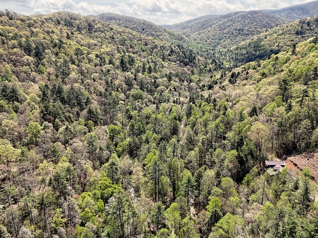 2839 Helton Creek Road Blairsville, GA 30512 - Photo 60 of 65