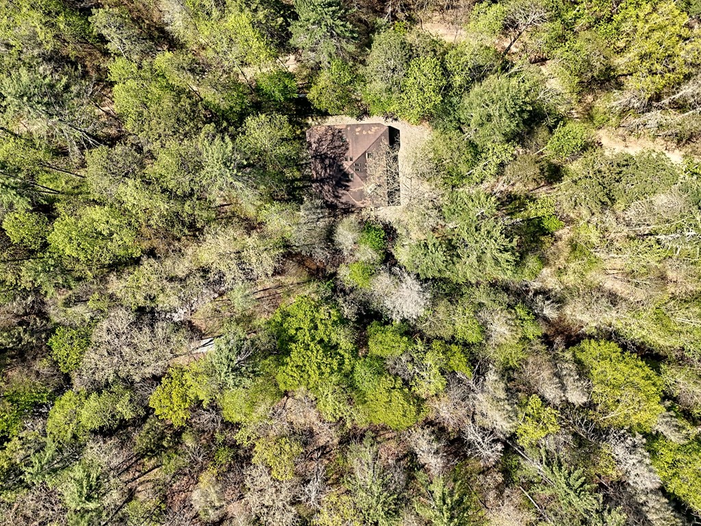 2839 Helton Creek Road Blairsville, GA 30512 - Photo 61 of 65