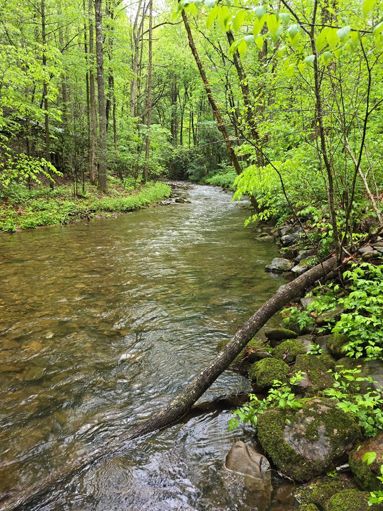 2839 Helton Creek Road Blairsville, GA 30512 - Photo 63 of 65