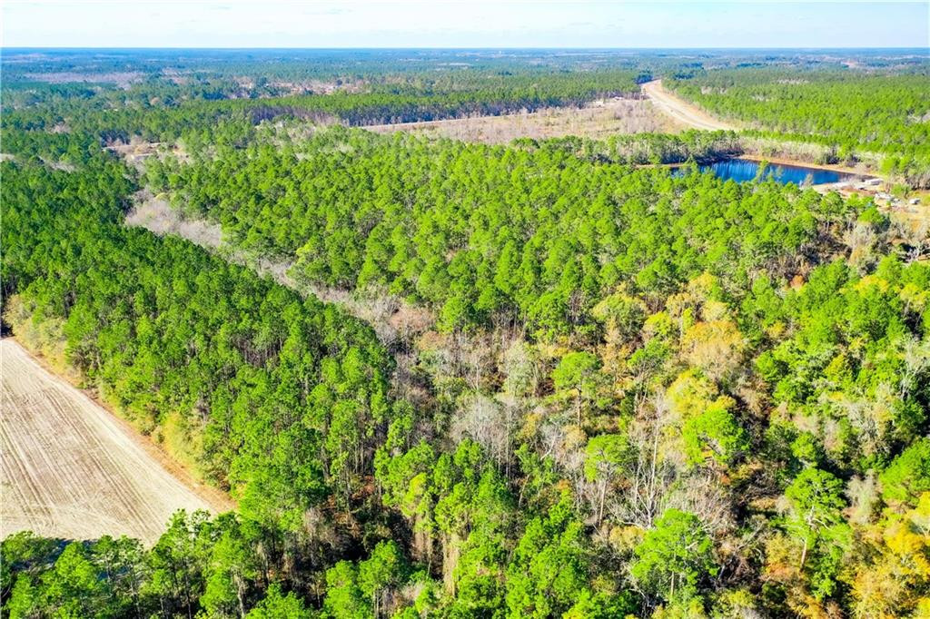 0 Smith Road Waycross, GA 31503 - Photo 14 of 17