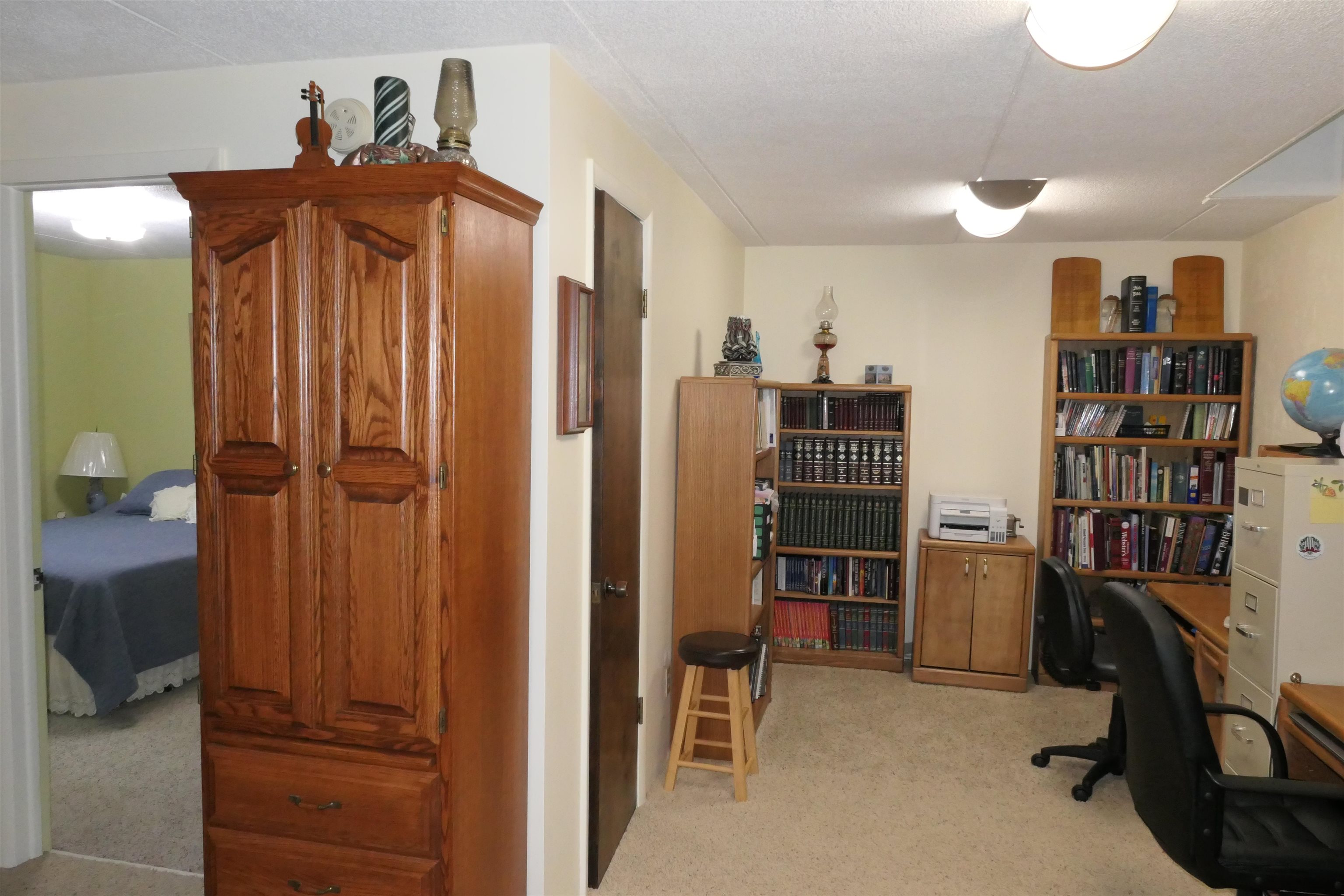 5669 Lake Montcalm Road Northeast Edmore, MI 48829 - Photo 17 of 41