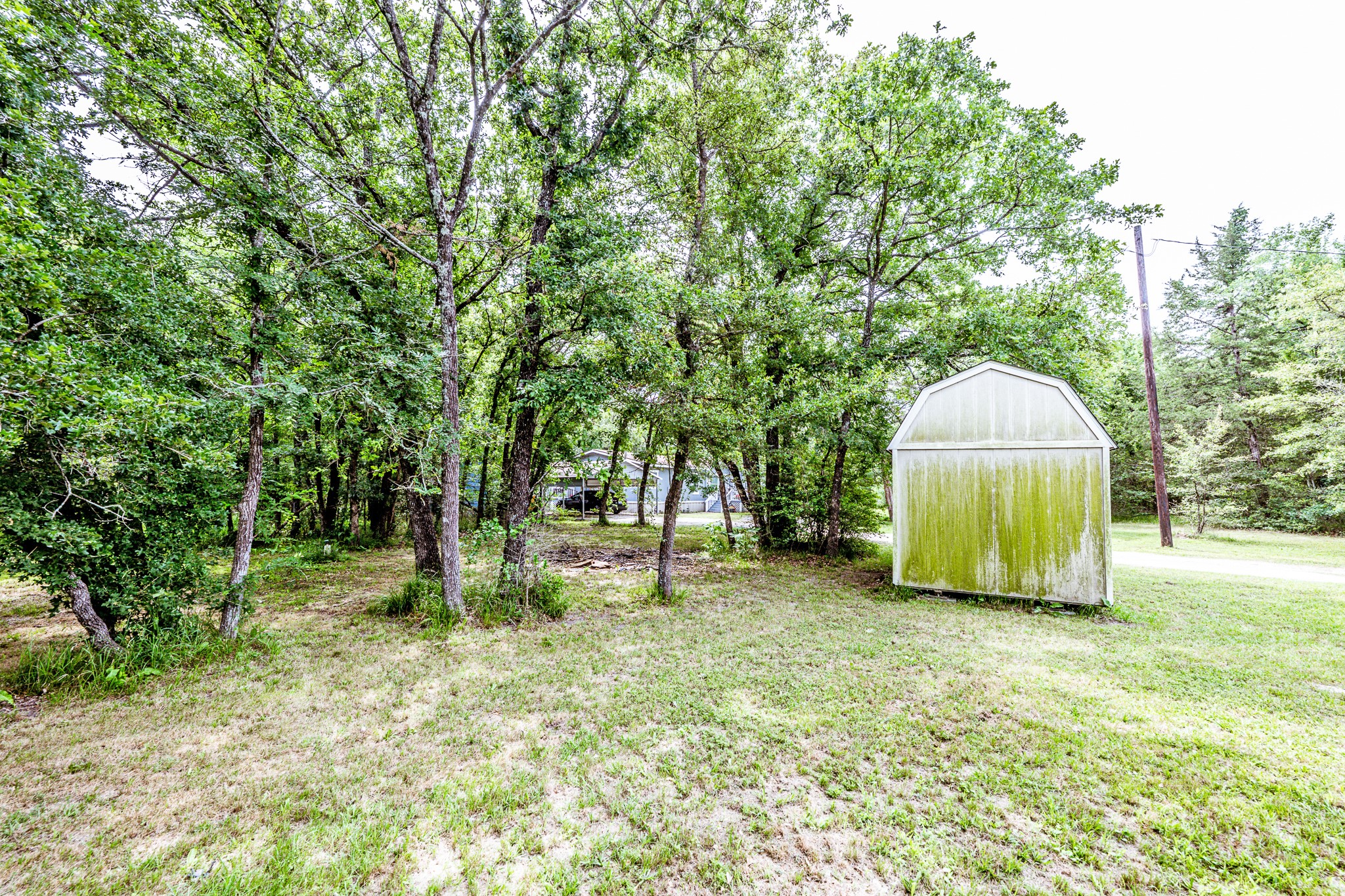 66 Horseshoe Lake Road Huntsville, TX 77320 - Photo 12 of 49