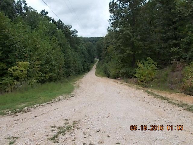 212 Reeves Poynt Lane Waverly, TN 37185 - Photo 21 of 30 Gallery Image 21