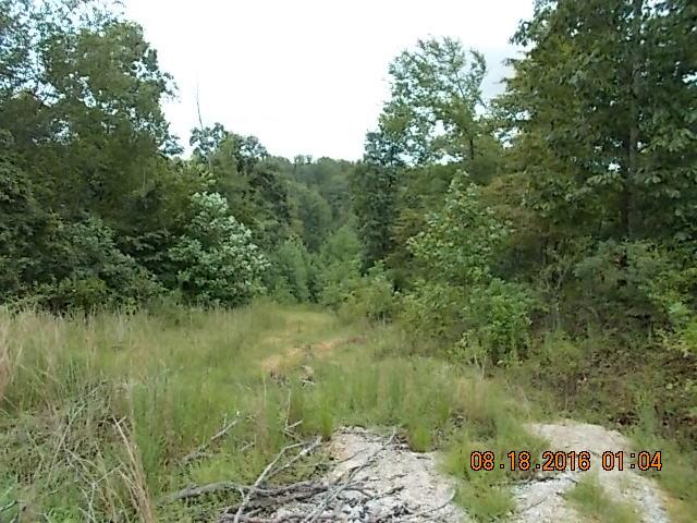 212 Reeves Poynt Lane Waverly, TN 37185 - Photo 22 of 30 Gallery Image 22