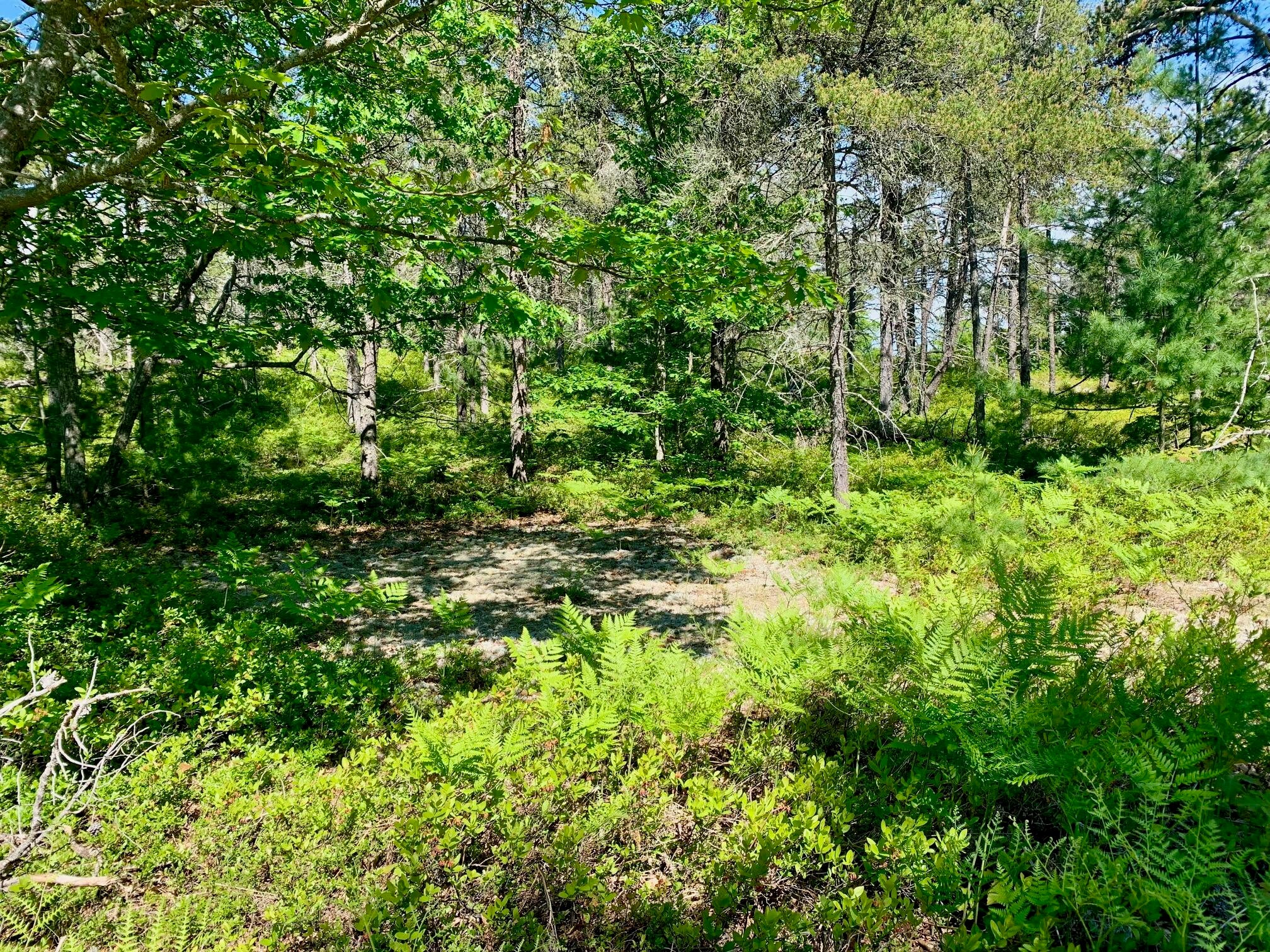 13713 North Whitefish Point Road Paradise, MI 49768 - Photo 9 of 11 Gallery Image 9