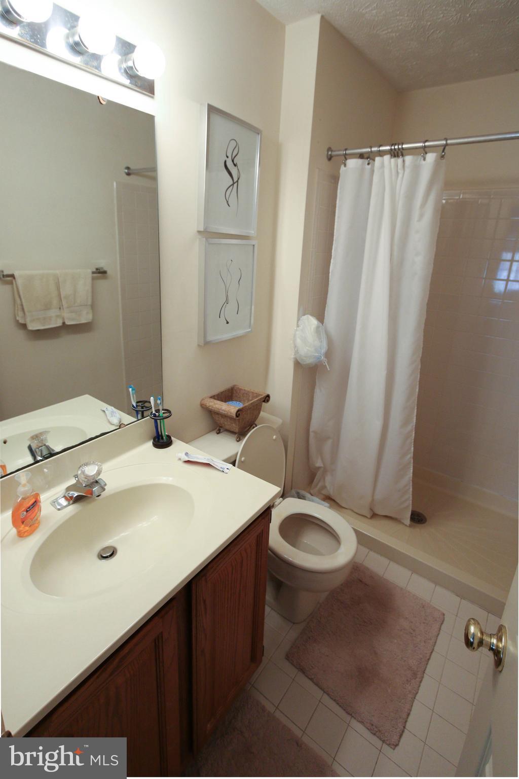 704 Streamside Drive Bowie, MD 20721 - Photo 13 of 24 a bathroom with a sink a toilet and shower curtain
