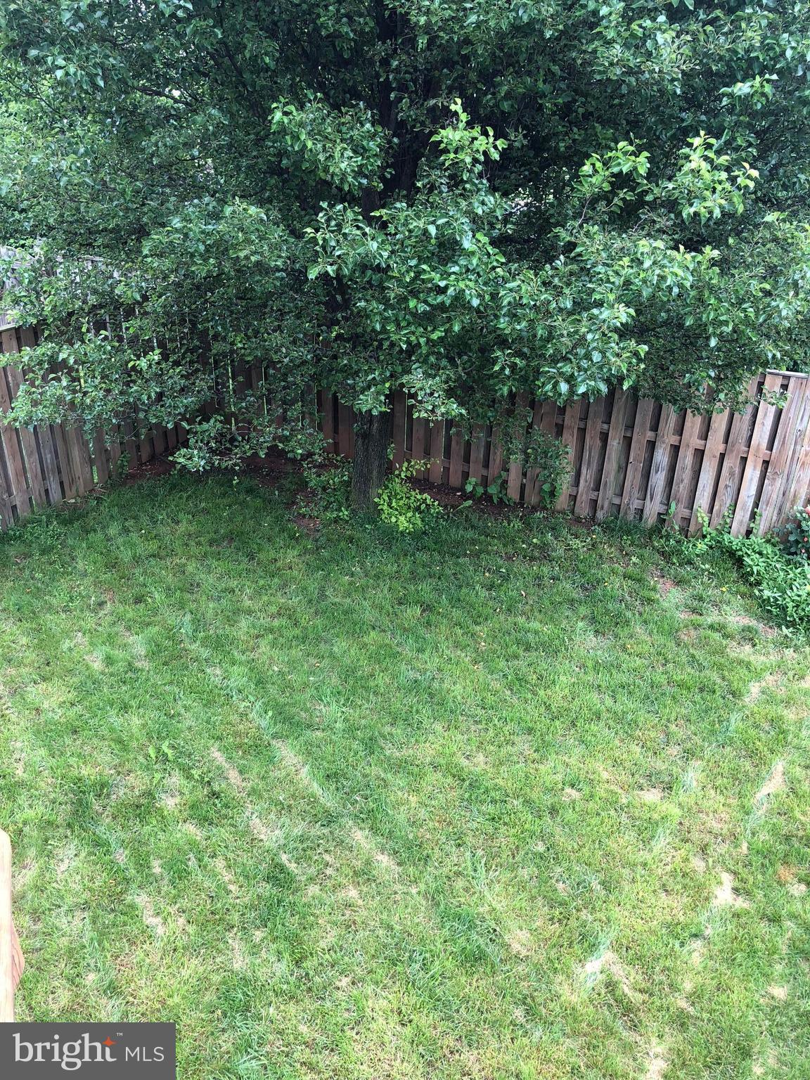 1801 Country Run Way Frederick, MD 21702 - Photo 5 of 11 Fenced Back Yard with Deck!
