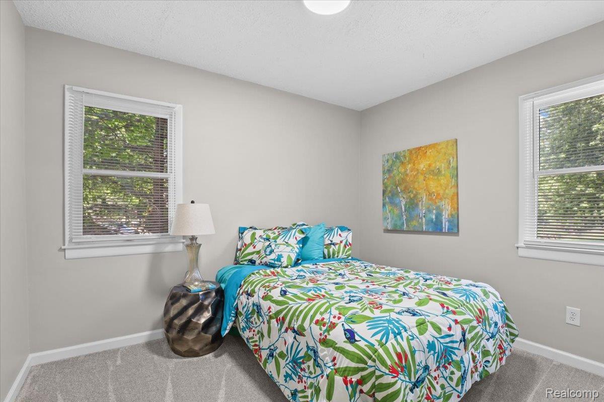 43600 Crowley Road Belleville, MI 48111 - Photo 15 of 33 Carpeted room featuring two white-framed windows with blinds, light gray wall paint, and a ceiling-mounted light fixture