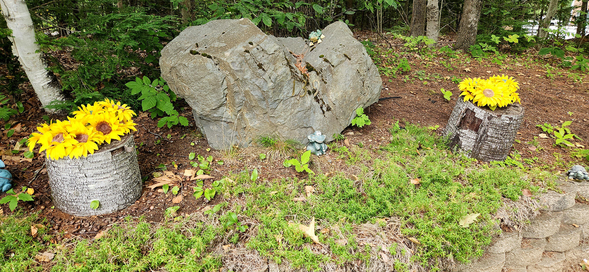 139 Five Road Carmel, ME 04419 - Photo 51 of 79 20250731_123940