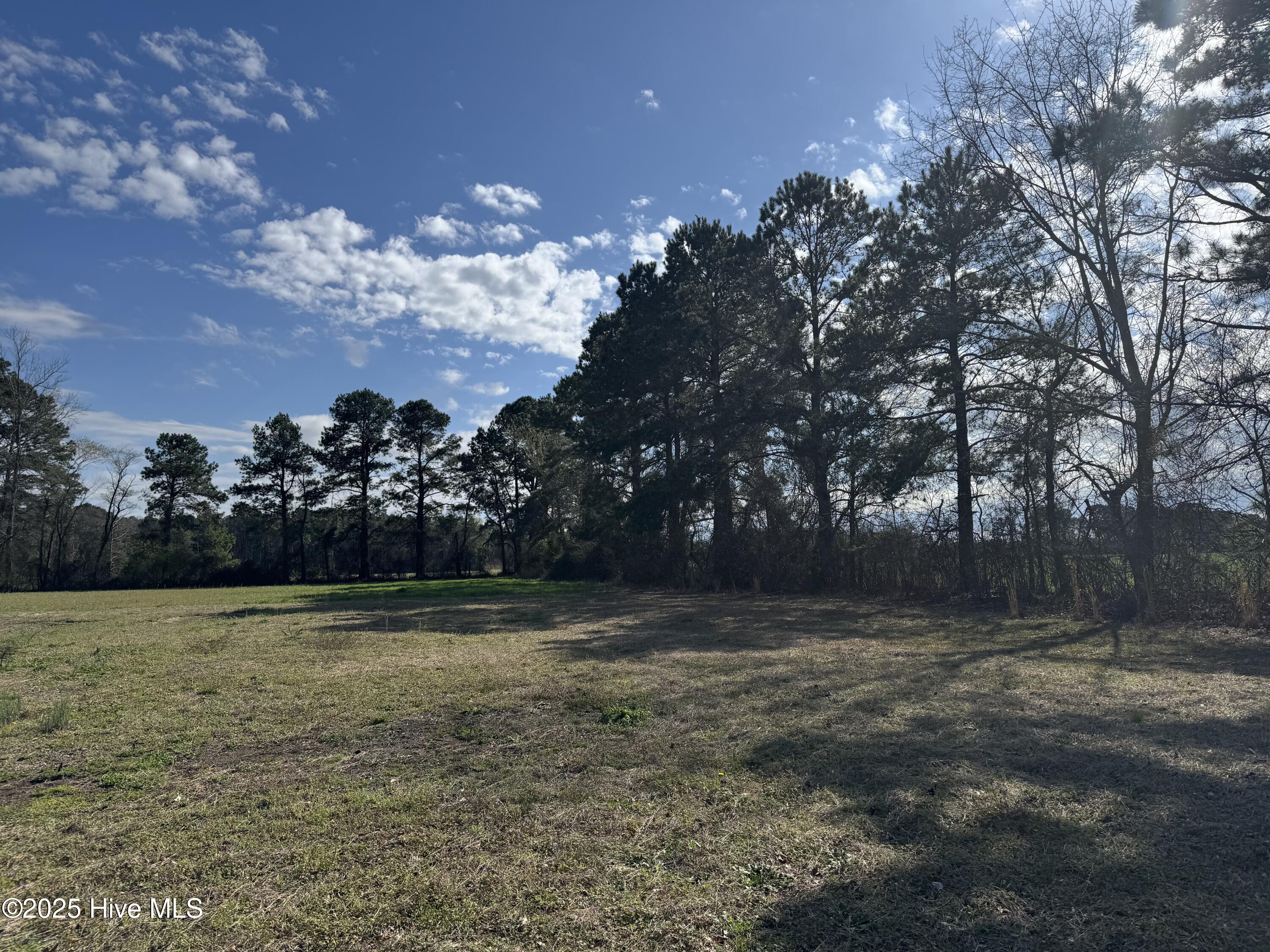 280 Cain Road St. Pauls, NC 28384 - Photo 4 of 23 IMG_8859