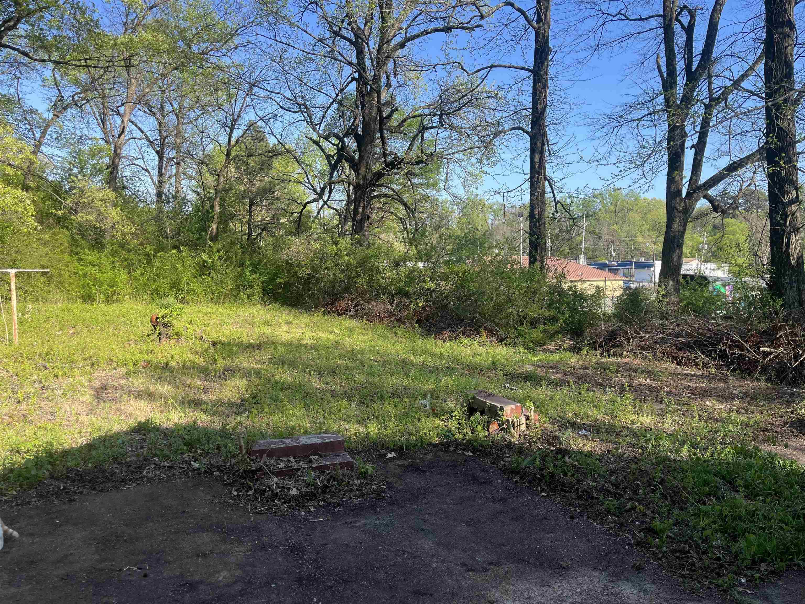 3382 Ardmore Street Memphis, TN 38127 - Photo 6 of 6 View of yard