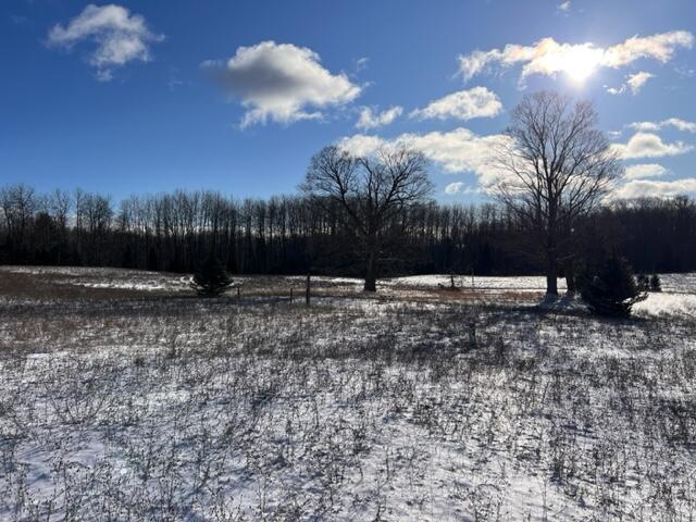 Off Ottawa & Penny Road Brutus, MI 49716 - Photo 3 of 22 Gallery Image 3
