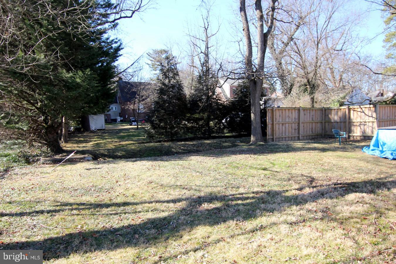 Back yard