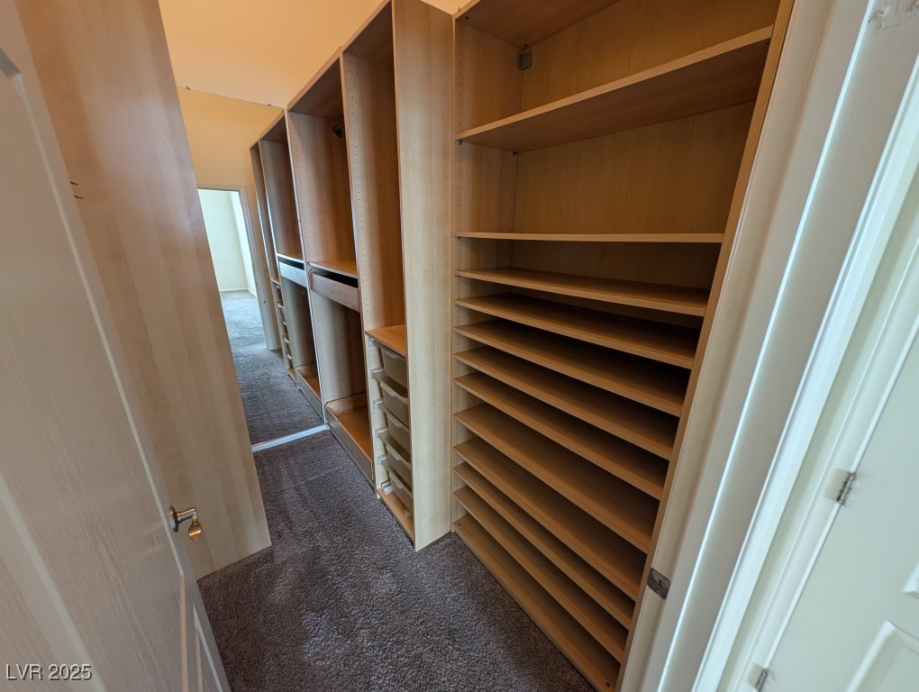3504 Desert Cliff Street, Unit 203 Las Vegas, NV 89129 - Photo 8 of 20 Spacious closet featuring dark colored carpet