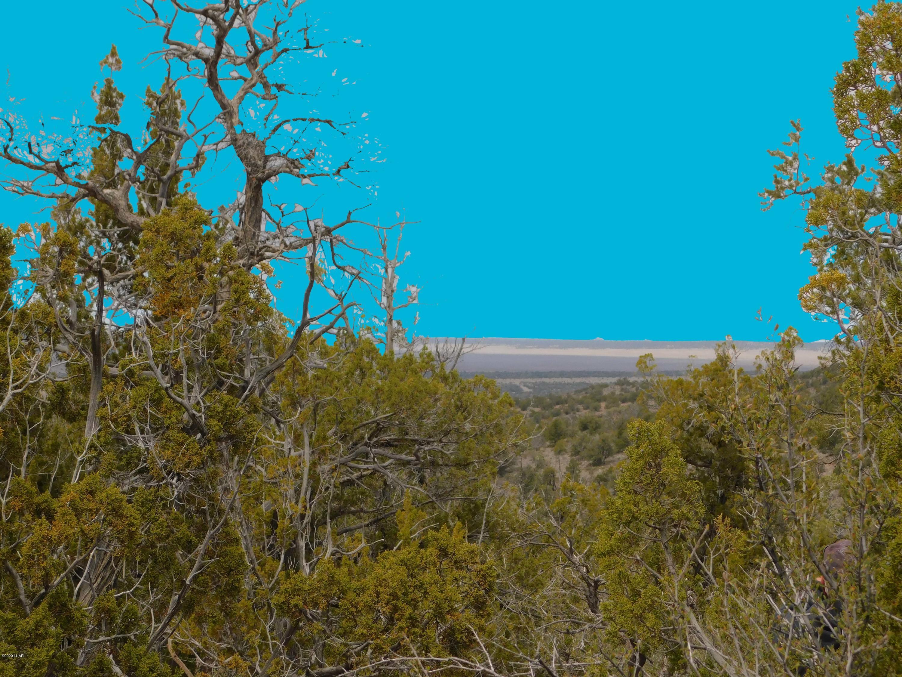 35750 Amber Ridge Road Seligman, AZ 86337 - Photo 5 of 18 Untitled-4