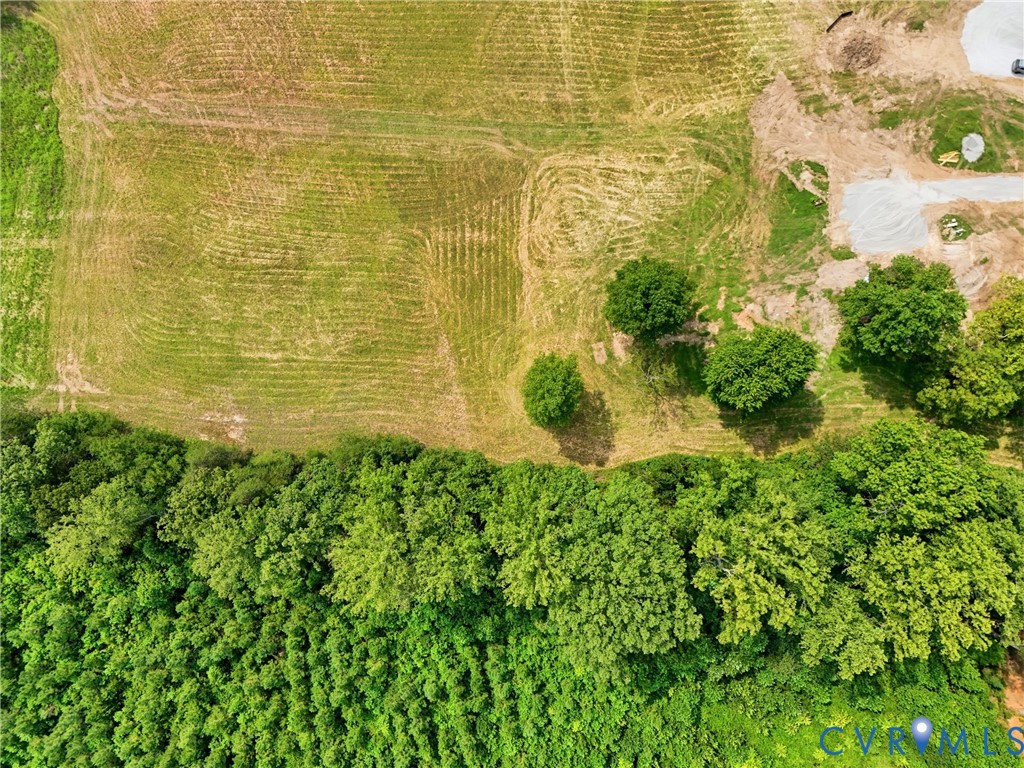 10672 Cross County Road Mineral, VA 23117 - Photo 12 of 33 Expansive cleared land featuring a wooded border a