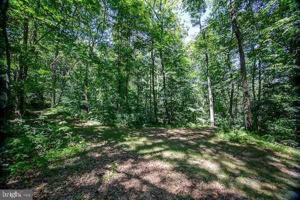 140 Creek Road Christiana, PA 17509 - Photo 20 of 24 Beautiful wooded backyard